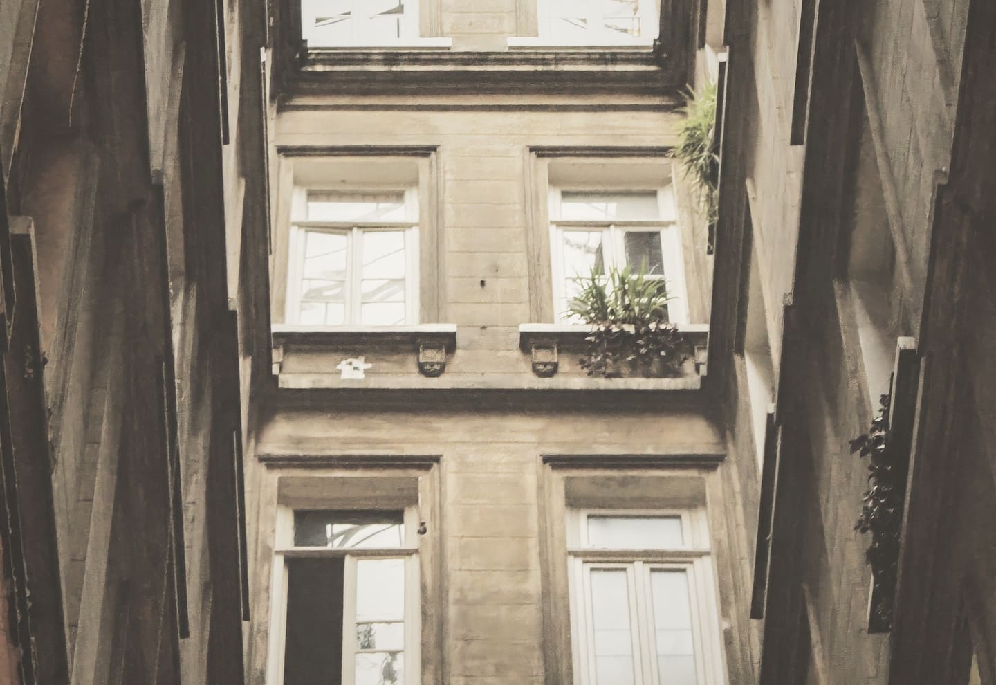 Cour intérieure d'un immeuble ancien vue d'en bas : deux ailes de pierre, croisées à petits bois, jardinières et l'entrée au fond.